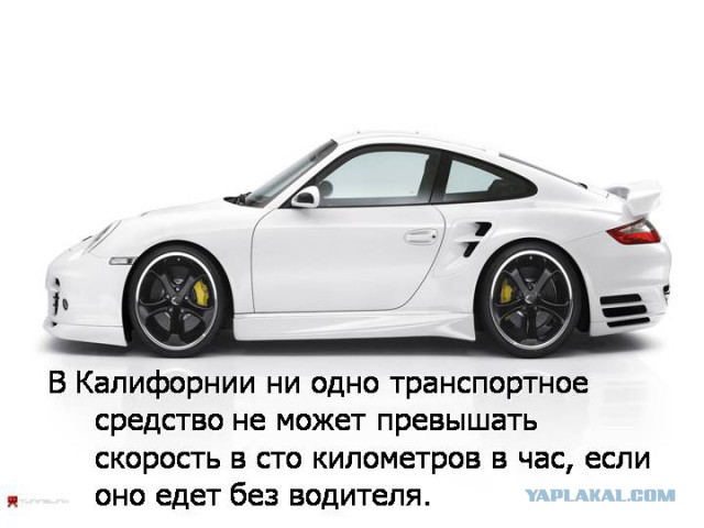 Госдума разрешила охоту с луком