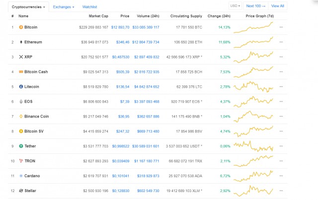 Биток растет
