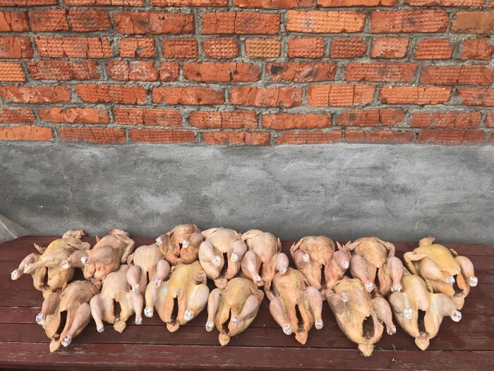 Дачный курятник