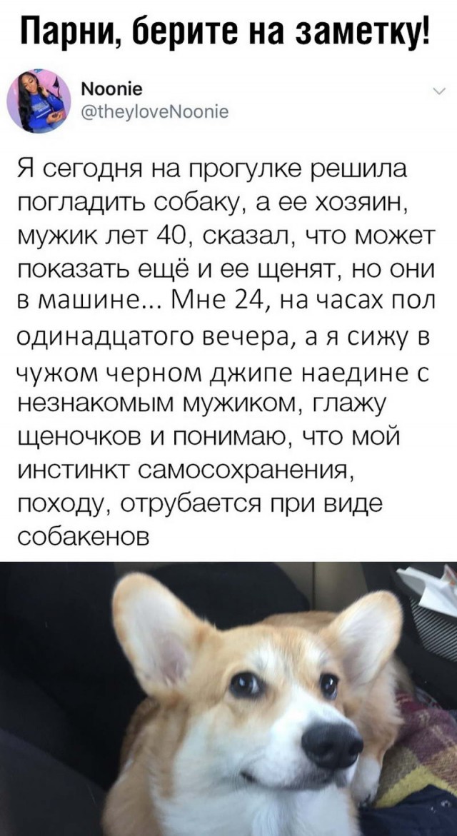 Дважды незамужняя и двое в багажнике. Переписок пост