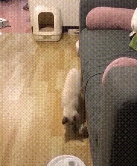 Истинная женщина (как раздуть из мухи слона)