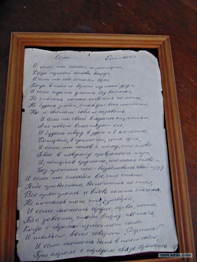 Кулинарная общалка