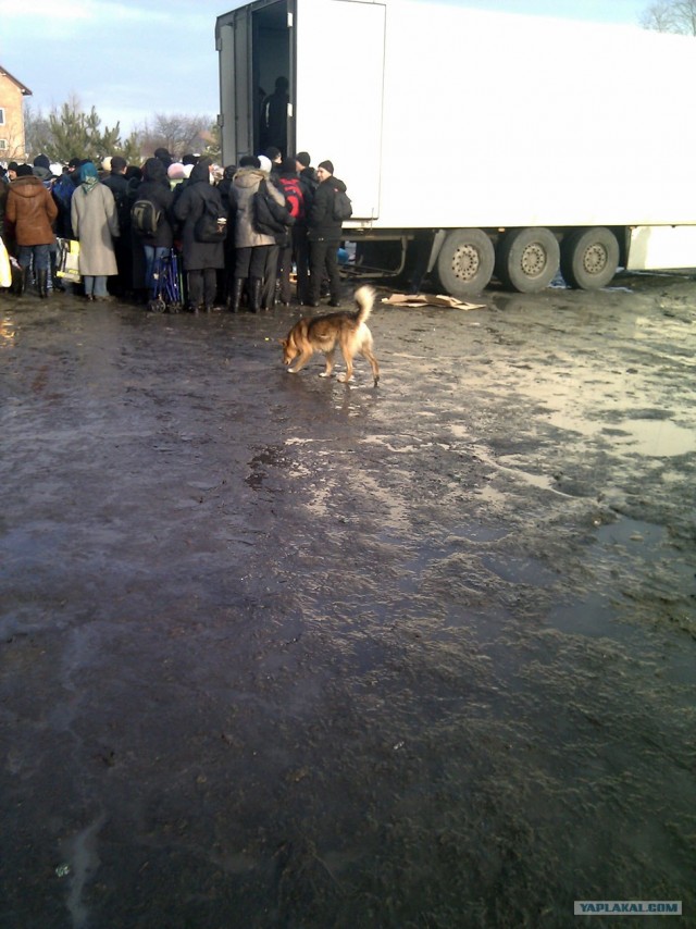 Поддержать отечественного производителя...