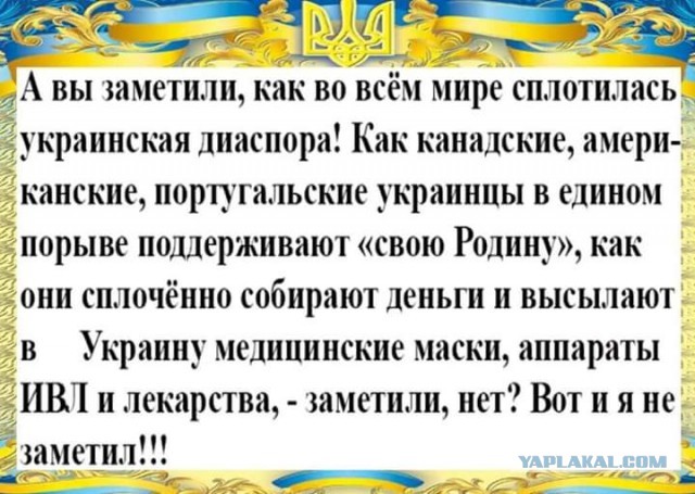 Итальянские украинцы составили петицию против "медиков Путина"