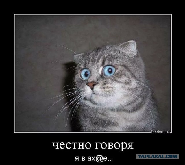 Цена на WTI упала ниже 0.1$