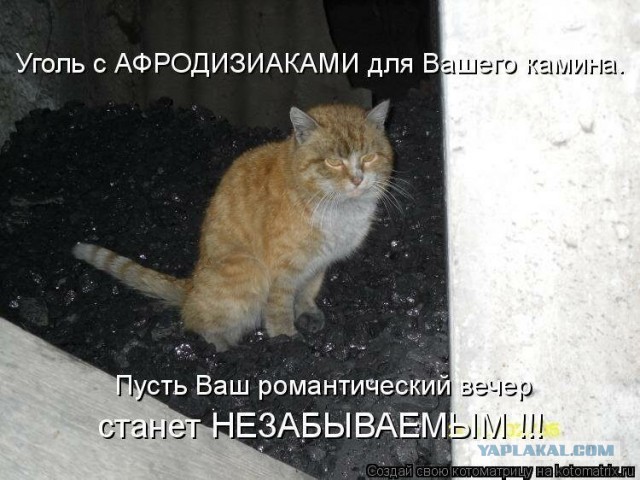 Зато поспал хорошо