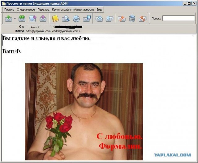 Почему меня забанили на ЯПлакалъ?