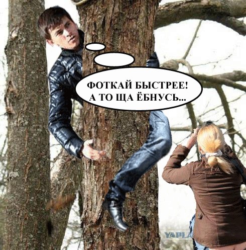 Фотожаба: Ты сними меня,сними фотограф