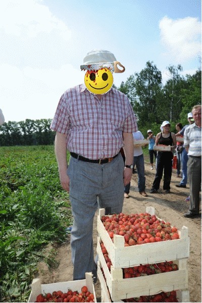 Как Жириновский на клубнике был