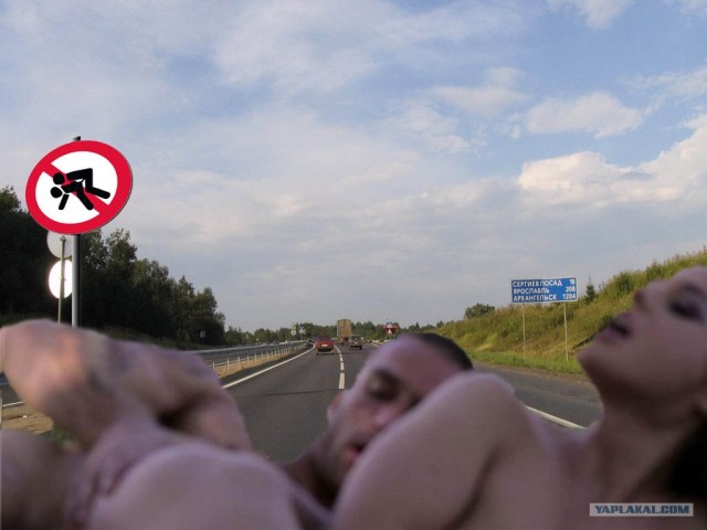 Фотожаба: Тут медвед не проходил?