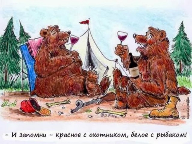 Распространенные заблуждения об алкоголе