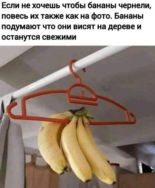 Аморальная деградация