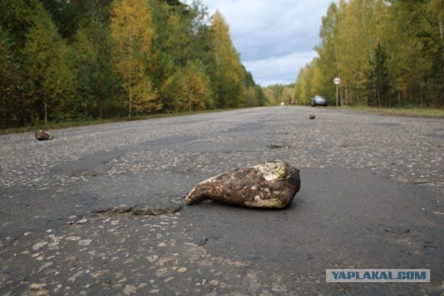 Ашан, а не охренел ли ты