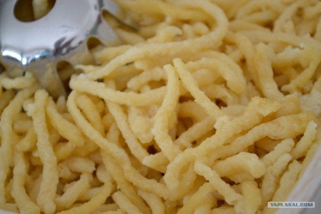 Пятничные посиделки на теплотрассе ©