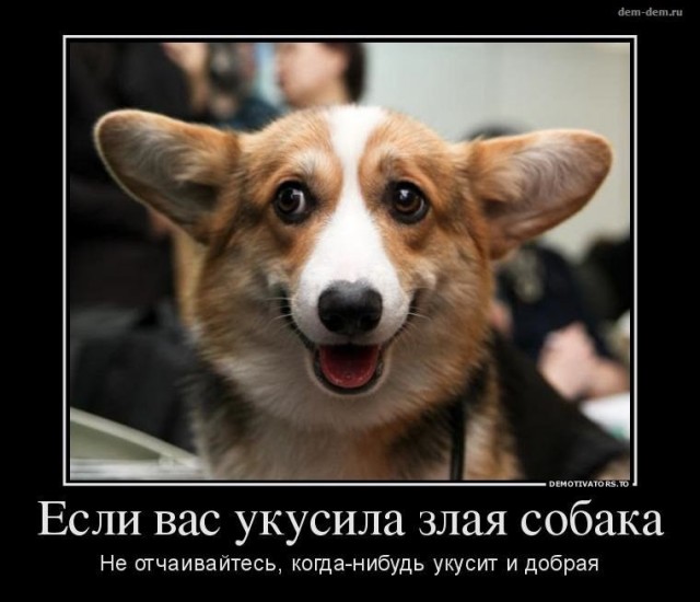 ТруЪ демотиваторы