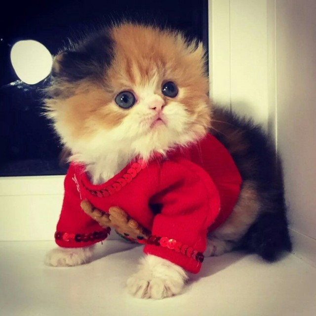 Выключайте скорее свои мимиметры!