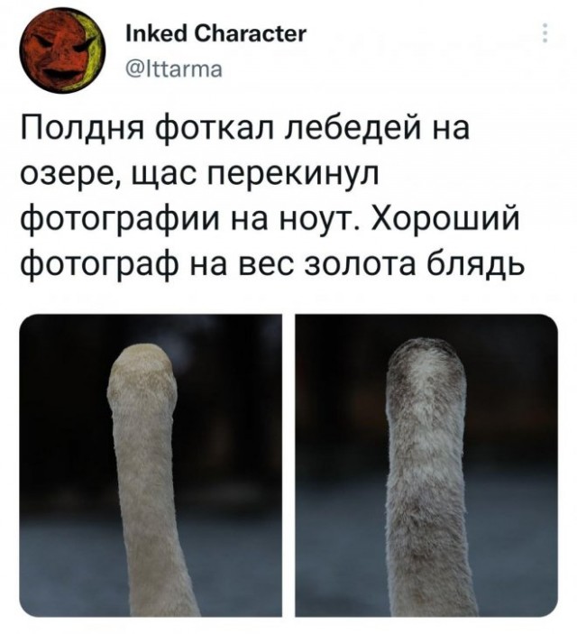 Картинки и мемы, всем отличных выходных