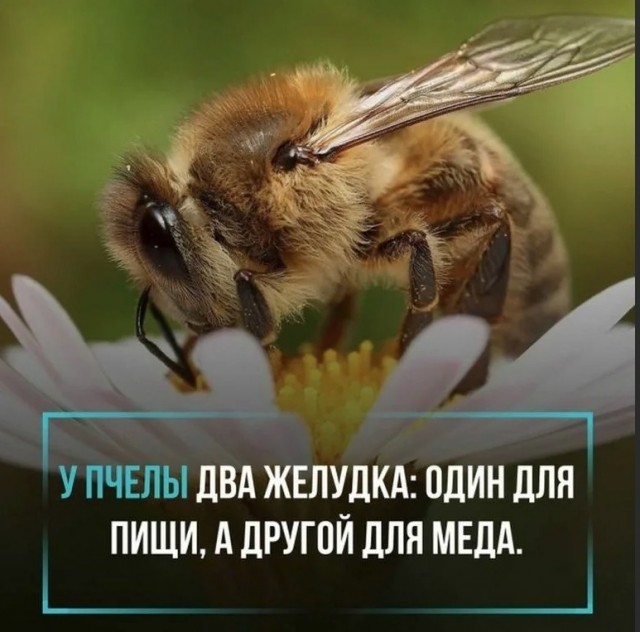 70 удивительных фактов