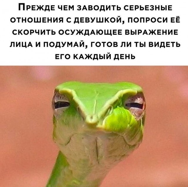 Комментарии и картинки из соцсетей