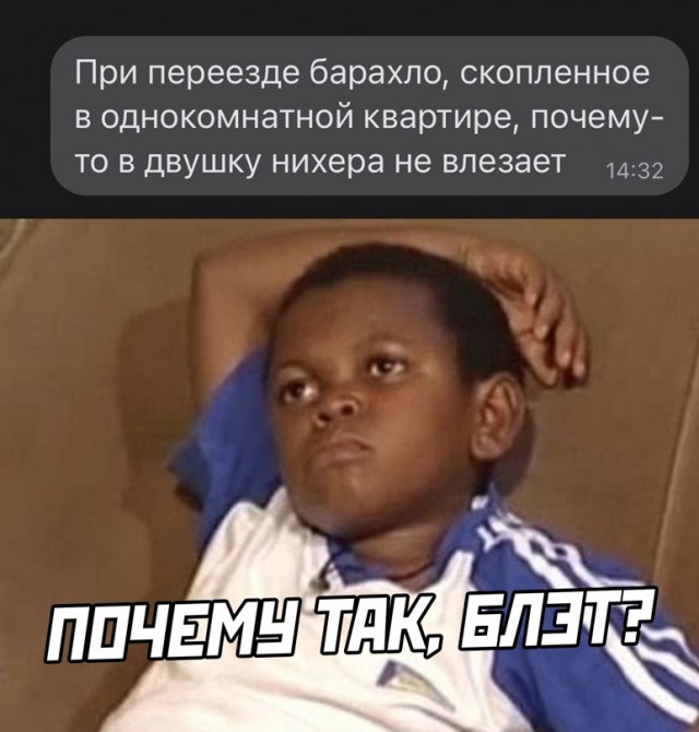 Весёлый полтишок 08.07.22