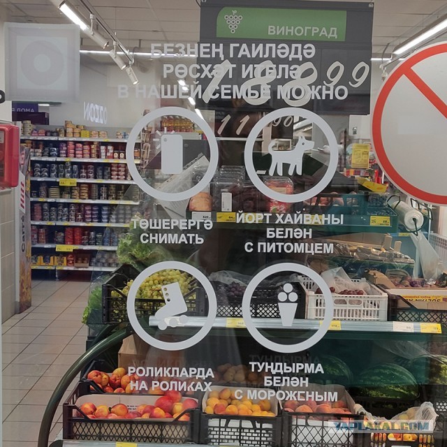 Пенсионерка ударила собаку по голове