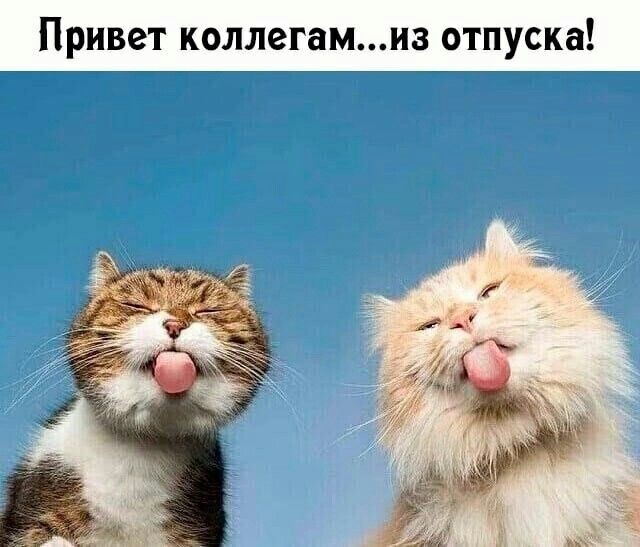 Баянисто-небаянистый юмор 18.08.22