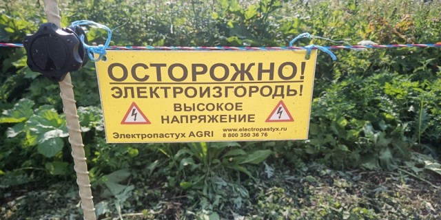 Фишт