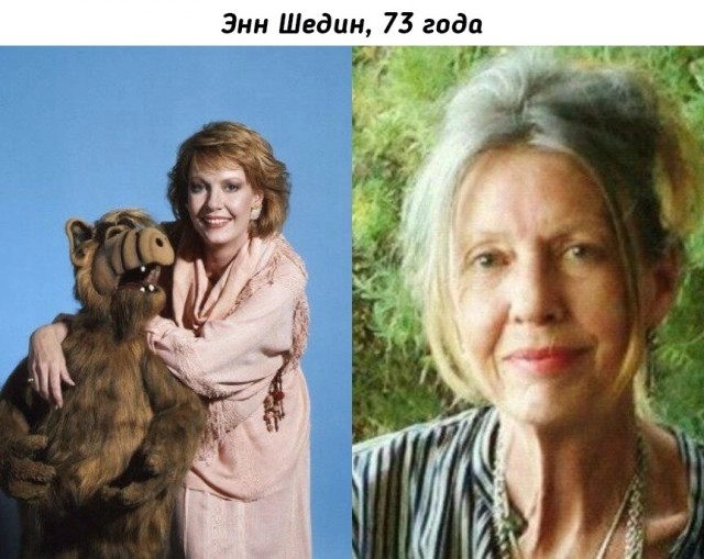 Актёры сериала Альф. Тогда и сейчас
