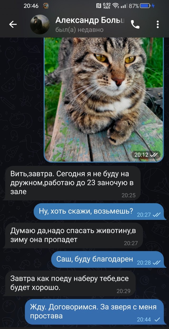 Зима близко.