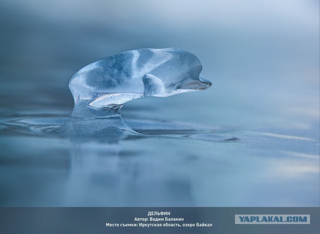 Тайна воды
