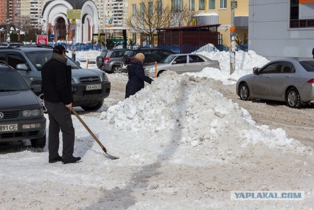 23 марта. Киев. Весна.