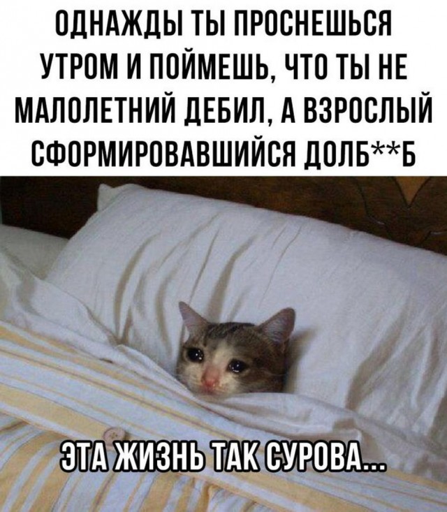 Всего понемногу. Новый выпуск.