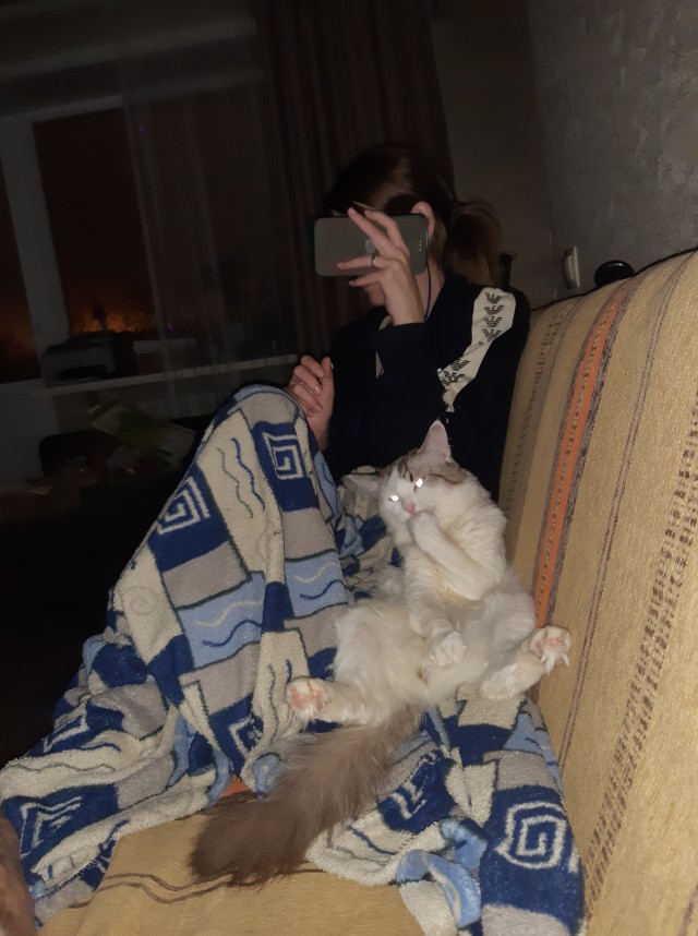 Котовторник