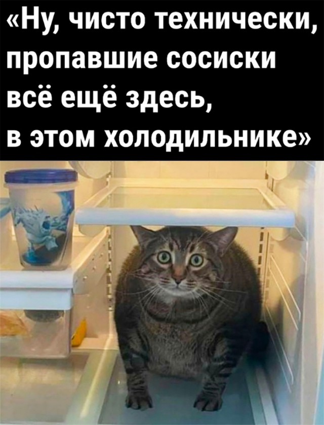 Так себе картинки 27.04.23