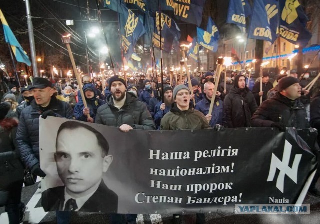 Жителей новых регионов без гражданства смогут депортировать из России