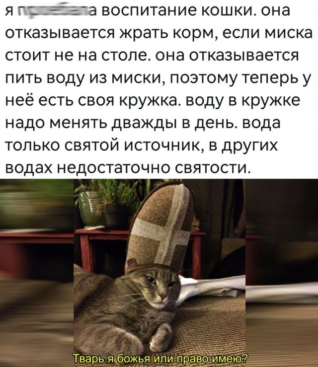 Картинки разнообразные