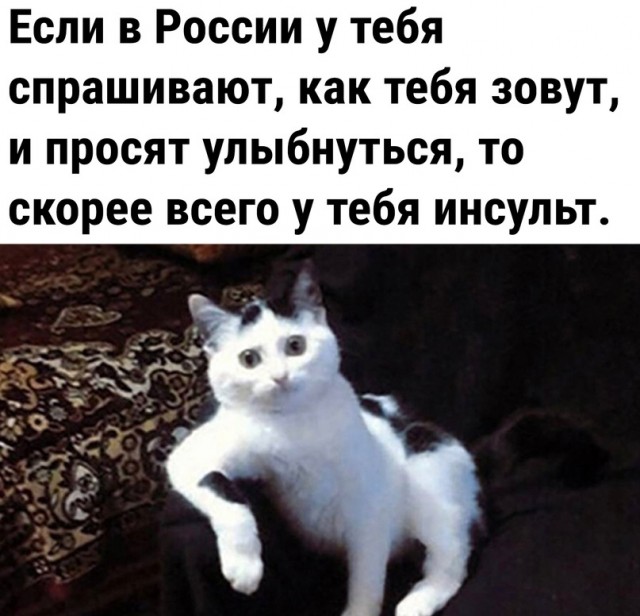 Так себе картинки 21.05.23