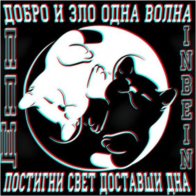 Прикольные и просто красивые картинки 26.05.2023