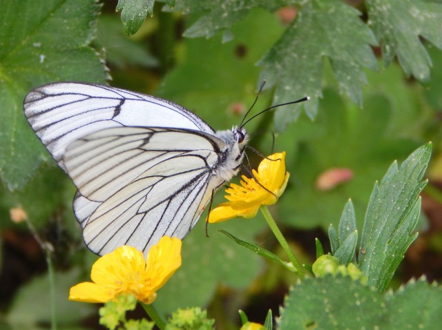 Природа Южного Урала