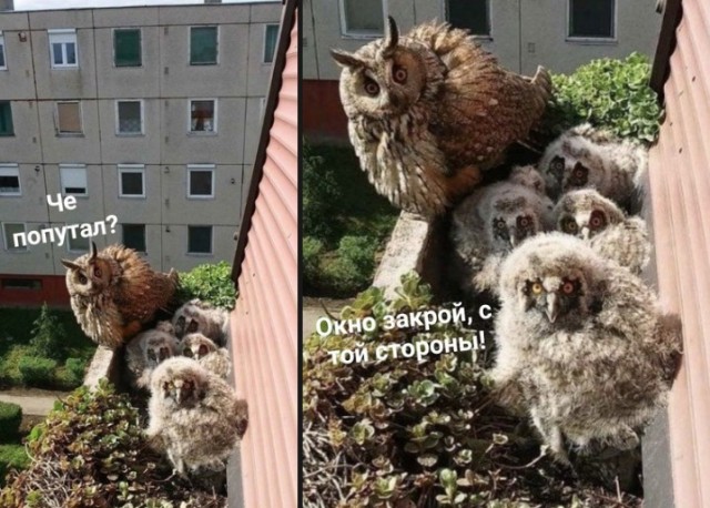 Всего понемногу. От 03.08.23