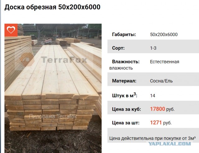 В Ленобласти туристы поехали погулять в лес, а вернуться не смогли — единственную дорогу кто-то перекопал