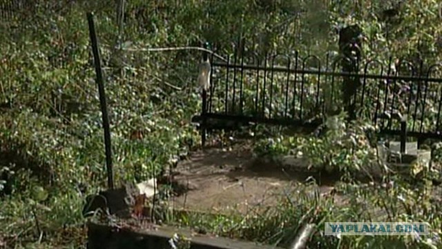 Кампания по демонизации советского солдата