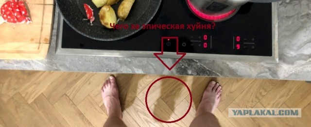 Можно ли собирать грибы возле атомной станции?