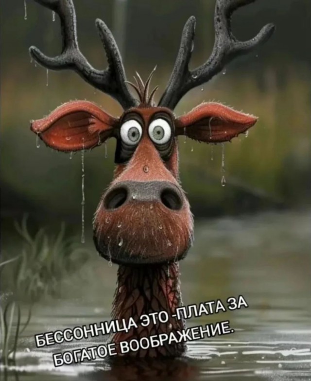 Так себе картинки 10.04.24