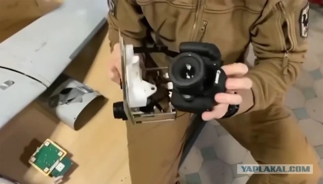 Они так рельно думают?
