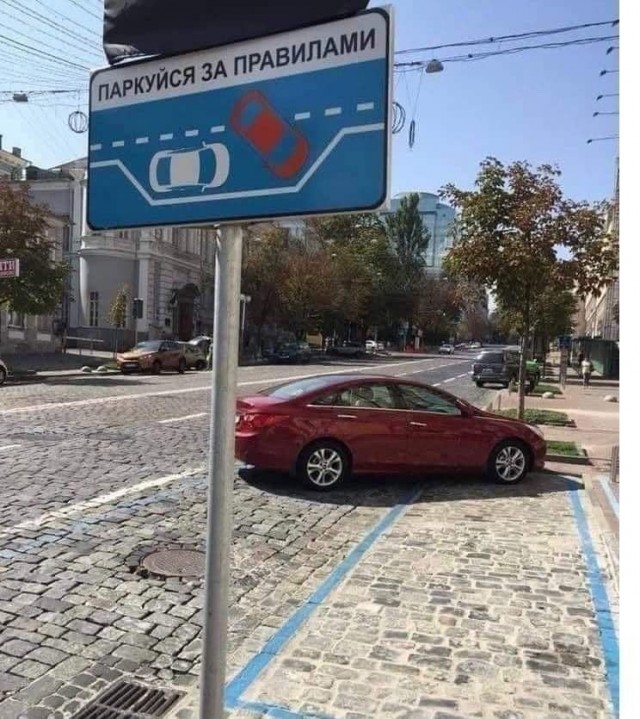 Так себе картинки 24.06.24