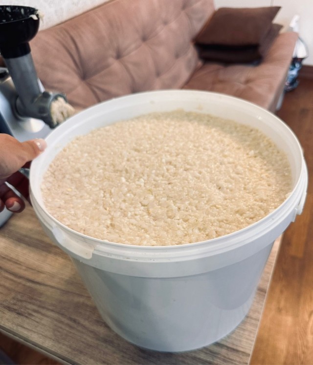Кальмарные метаморфозы