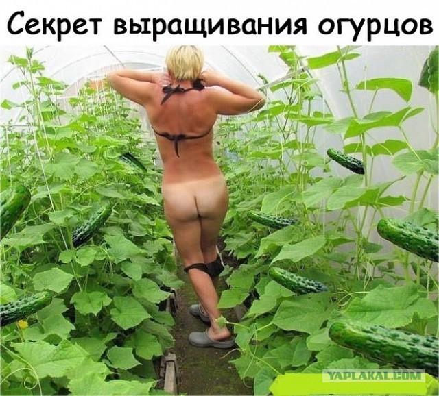 Картинки разные с надписями и без