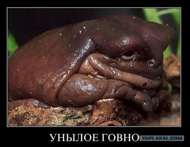 Свиная Рулька от ОРТ-ТВ