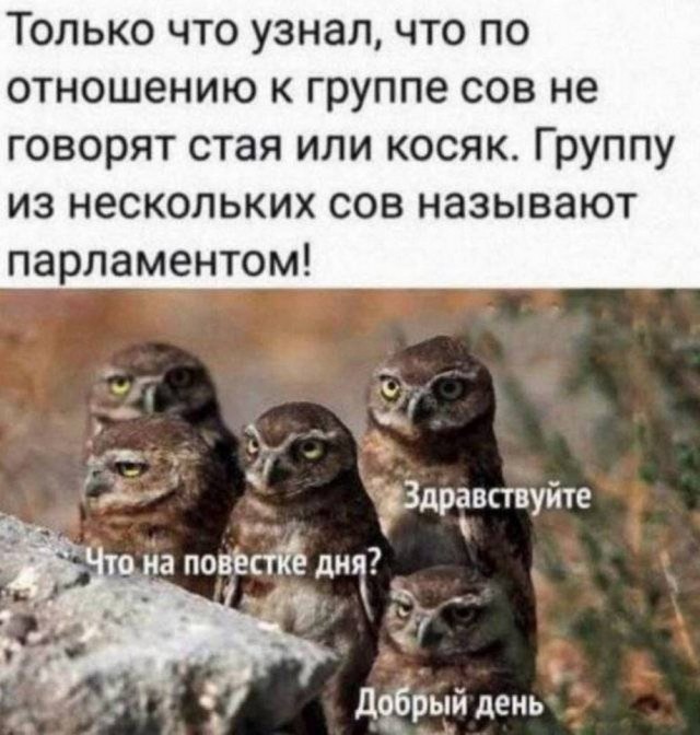 Картинки разные с надписями и без